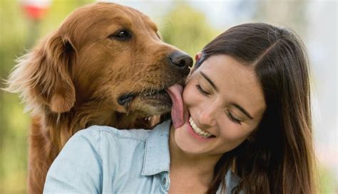 mujeres con perros xxx|Le encanta masturbar a su perro